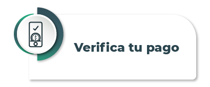 3-verifica-tu-pago