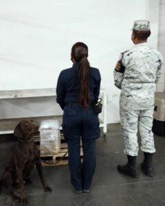 decomiso precursor tijuana