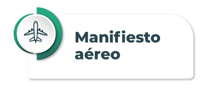 1_btn_manifiesto_aereo