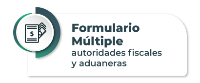 8-formulario-multiple-autoridades-fiscales2