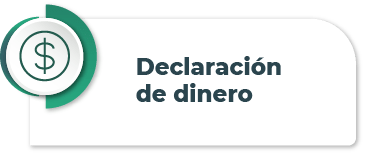 btn_declaracion_dinero_psj