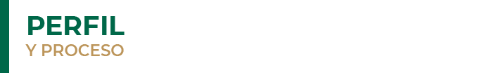 2_titulo_perfil_proceso