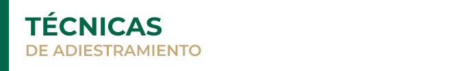 4_tecnicas_de_adiestramiento