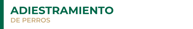 5_adiestramiento