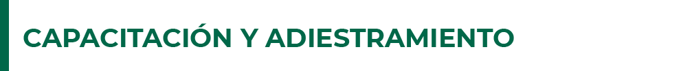5_titulo_capacitacion_adiestramiento