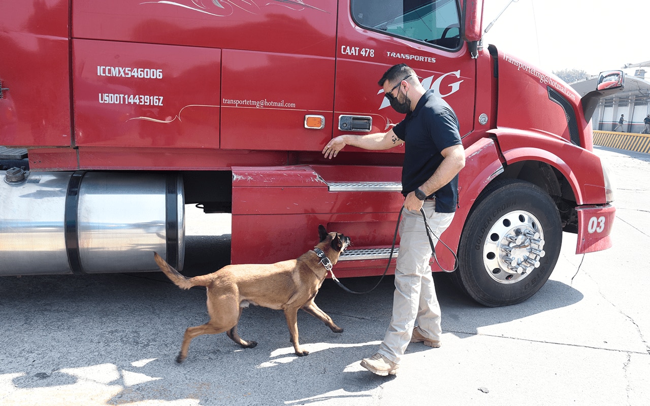 Detección con Binomio Canino