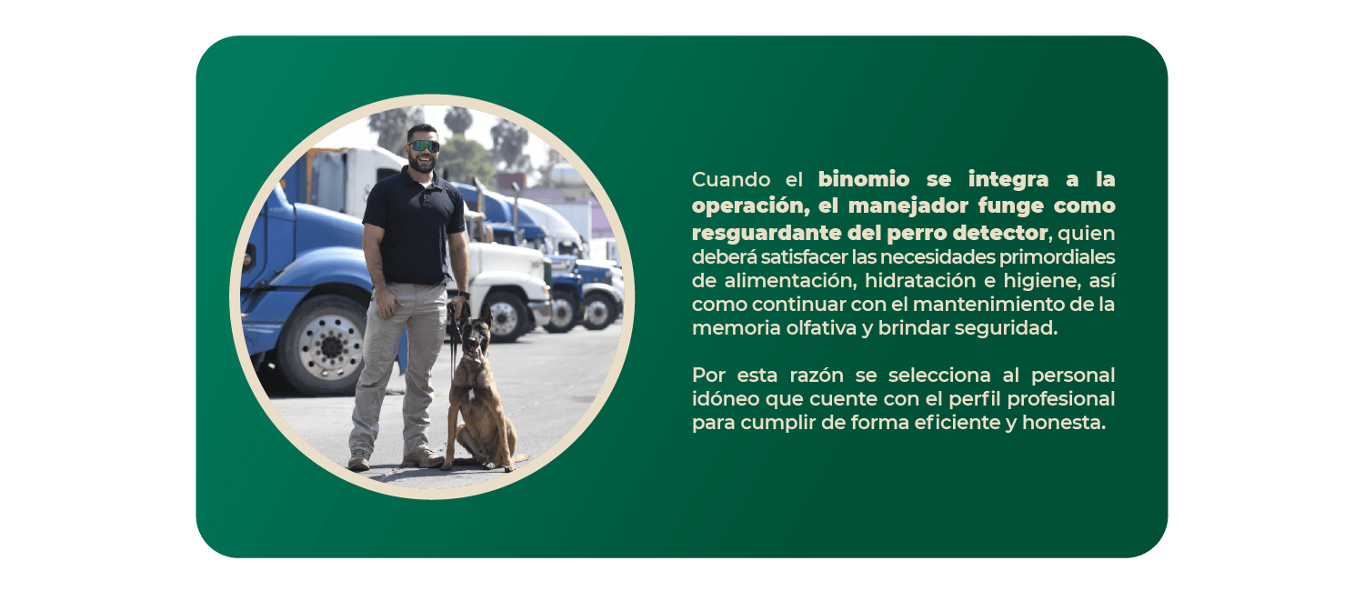 1_perfil_proceso_personal_b