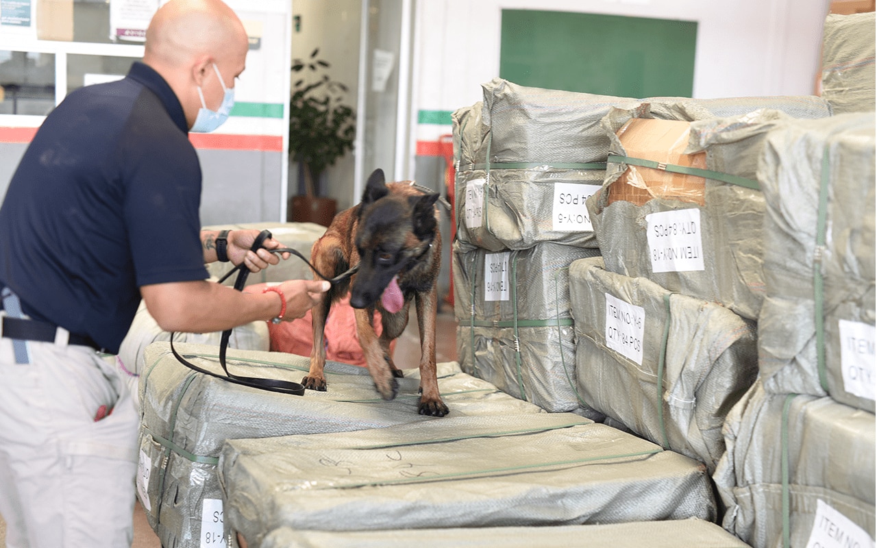 Detección con Binomio Canino