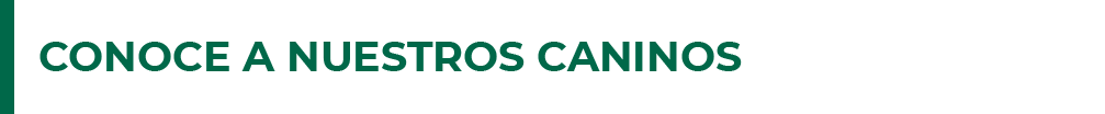 btn_conoce_nuestros_caninos
