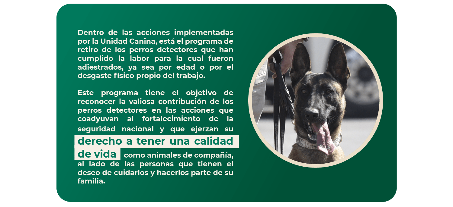 programa_jubilación