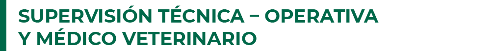 supervision_tecnica_operativa