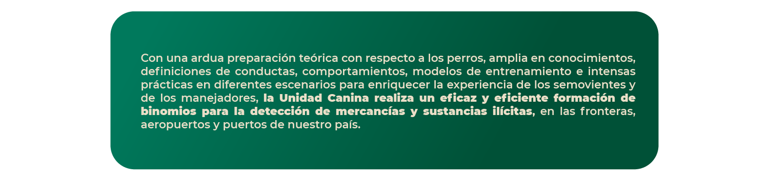 2_curso_de_formacion_page