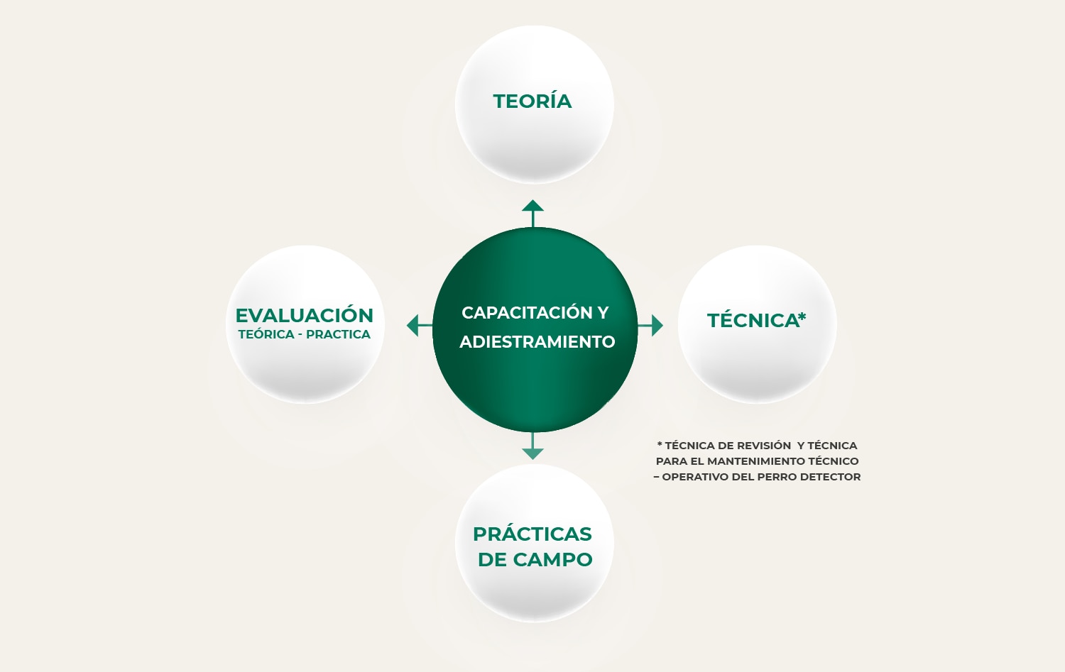 5_capacitacion_entrenamiento